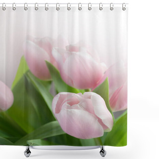 Personality  Beautiful Spring Tulips Shower Curtains