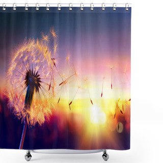 Personality  Dandelion To Sunset - Freedom To Wish Shower Curtains