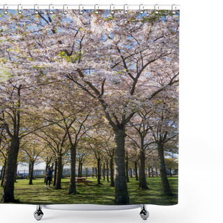 Personality  Girl In Park With Beautiful Blossoming Trees, Copenhagen, Denmark Shower Curtains