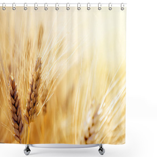 Personality  Wheat Field Shower Curtains