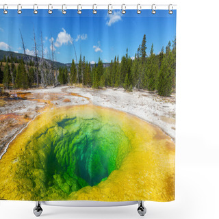 Personality  Morning Glory Pool Shower Curtains