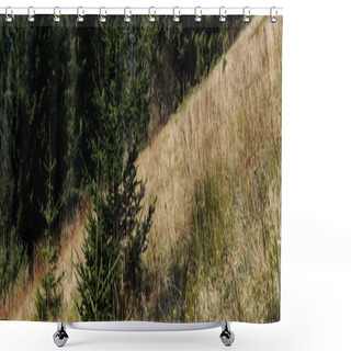 Personality  Panoramic Shot Of Evergreen Pines Near Golden Barley Field  Shower Curtains