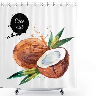 Personality  Hand Drawn Watercolor Painting Fruit Coconut Shower Curtains