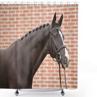 Personality  Nice Big Horse With Perfect Hair Style Shower Curtains