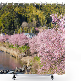 Personality  Blooming Sakura Trees Along River Shower Curtains