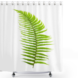 Personality  Fern Branch Shower Curtains