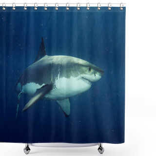 Personality  Great White Shark Ready To Attack Shower Curtains