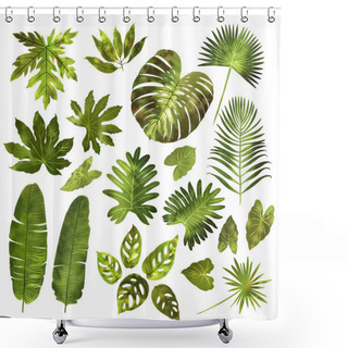 Personality  Leaves Of Tropical Plants In Green Watercolor On A White Background. Monstera, Fan Palm, Monkey Monstera, Mango. Shower Curtains