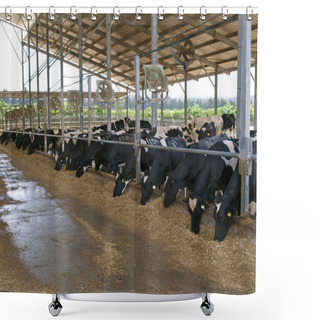 Personality  Modern Cowshed With Cows Shower Curtains