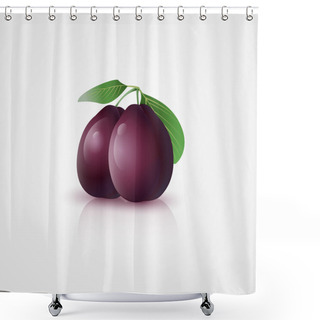 Personality  Plums With Leaves. Vector Illustration. Shower Curtains