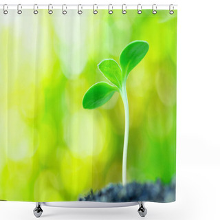 Personality  Sunflower Sprout On Yellow Bokeh Background.(horizontal) Shower Curtains