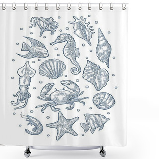 Personality  Set Sea Animal. Vector Monochrome Engraving Vintage Illustrations Isolated On White Shower Curtains