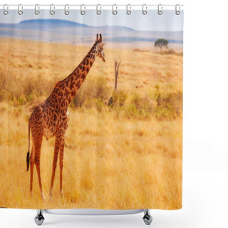 Personality  Kenyan Savannah With Giraffe Shower Curtains