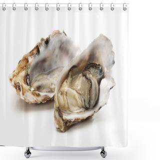 Personality  Opened Oyster Shower Curtains