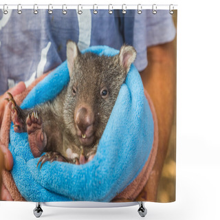 Personality  Baby Sweet Wombat Shower Curtains