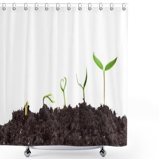 Personality  Plant Germination And Growth Shower Curtains