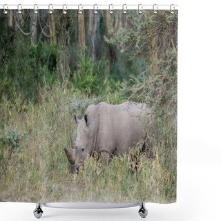 Personality  Rhino Shower Curtains