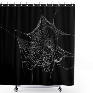 Personality  Real Frost Covered Spider Web Isolated On Black Shower Curtains