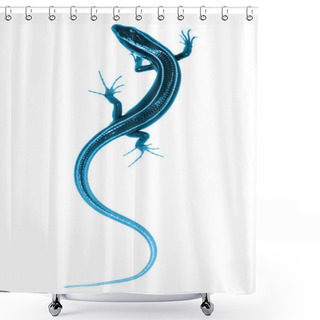 Personality  Blue Tail Skink Lizard Shower Curtains