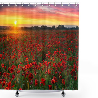 Personality  Beautiful Poppy Field During Sunrise Shower Curtains