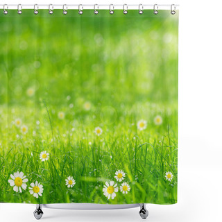 Personality  Green Grass And Daisies In The Sunshine Shower Curtains