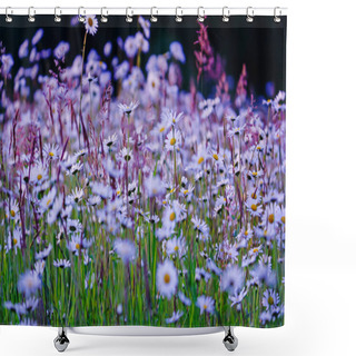 Personality  Summer Field Flowers, Flora Shower Curtains