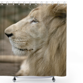 Personality  White Lion Shower Curtains