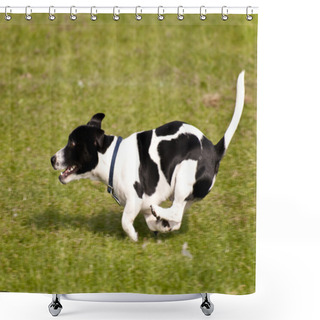 Personality  Dog Race Shower Curtains