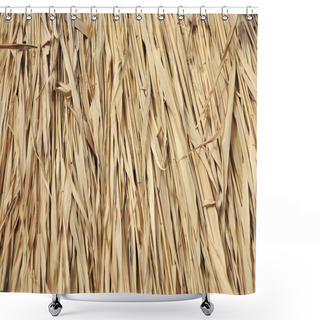 Personality  Reed Background, Close Up Shower Curtains