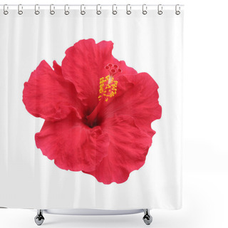 Personality  Hibiscus Flower - Isolated, Path Shower Curtains