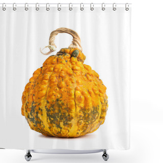 Personality  Big Orange Pumpkin On White  Background Shower Curtains
