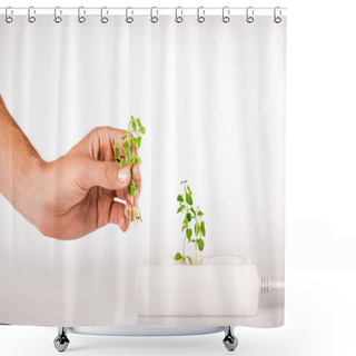 Personality  Cropped View Of Man Holding Green Plant Near Socket In Power Extender On White Background Shower Curtains
