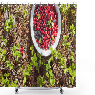 Personality  Bowl With Lingonberry And Blueberry On The Ground Covered With Lingonberry Plants And Fallen Pine Needles. A Concept Of Hiking In The Forest, Foraging And Healthy Organic Food. Karelian Isthmus, Near Saint Petersburg, Russia. Shower Curtains