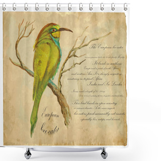 Personality  European Bee-Eater - An Hand Painted Vector Shower Curtains