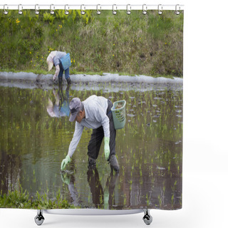 Personality  Hand Planting Rice Seedlings Shower Curtains