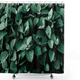 Personality  Natural Plant Background Of Leaves Shower Curtains