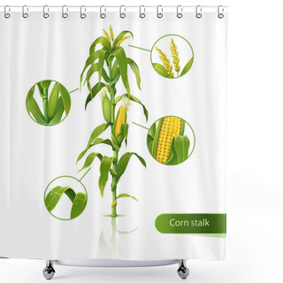 Personality  Corn Stalk Shower Curtains
