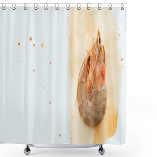 Personality  Top View Of Single Uncooked Shrimp On White Surface With Watercolor Strokes Shower Curtains