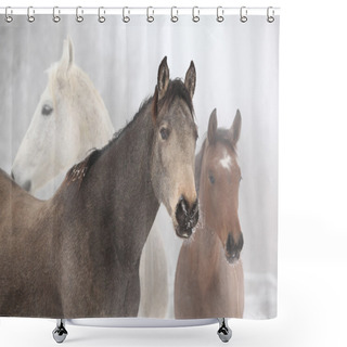 Personality  Batch Of Horses In Winter Shower Curtains