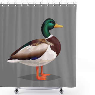 Personality  Realistic Bird Wild Duck On A Grey Background. Shower Curtains