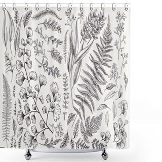 Personality  Set With Leaves. Botanical Illustration. Fern, Eucalyptus, Boxwood. Vintage Floral Background. Vector Design Elements. Isolated. Black And White. Shower Curtains