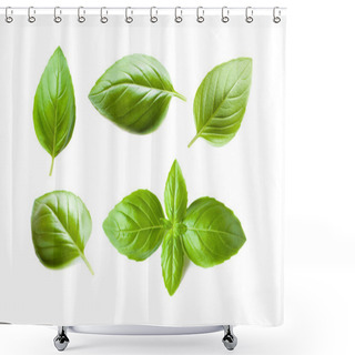 Personality  Set Of Fresh Basil Leaves Shower Curtains