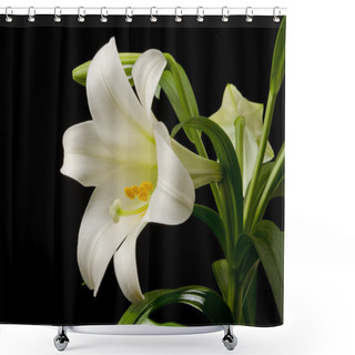 Personality  Easter Lily Blossom Shower Curtains