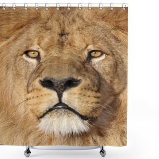 Personality  Big Lion's Head  Shower Curtains