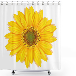 Personality  Vector Sunflowers On A White Background Shower Curtains