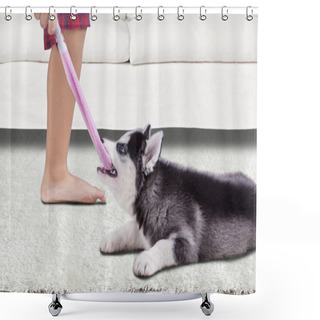 Personality  Funny Husky Dog Biting A Sock Shower Curtains