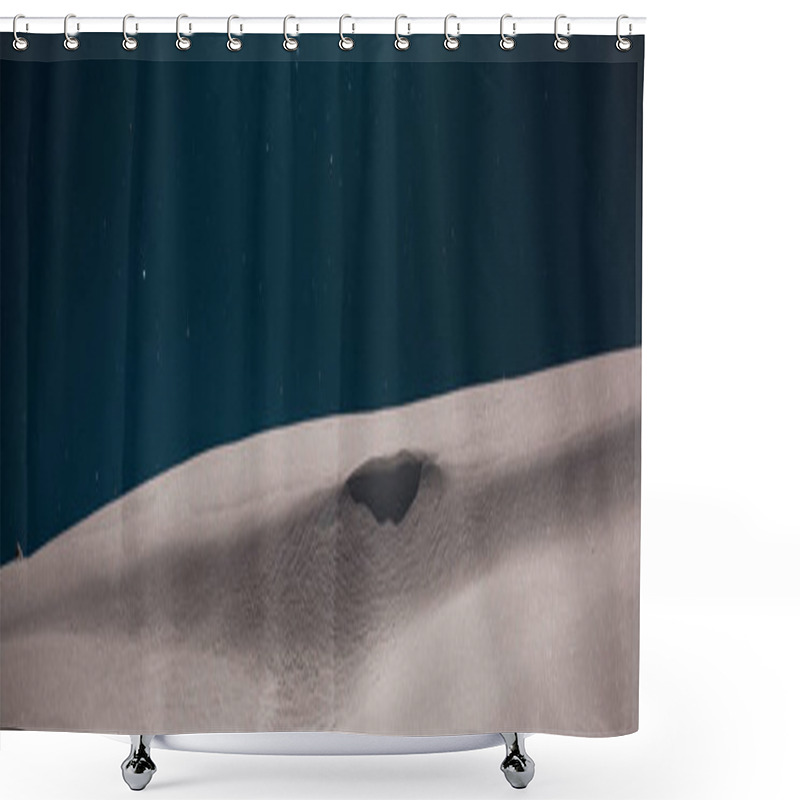 Personality  scenic view of mountain covered with pure white snow against night starry sky, panoramic shot shower curtains