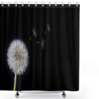 Personality  Dandelion Loosing Seeds In The Wind Shower Curtains