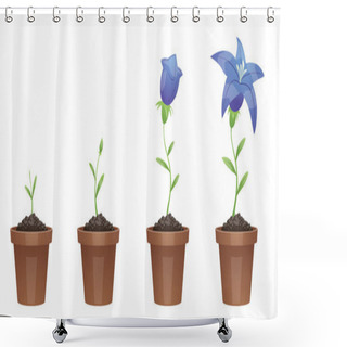 Personality  Stages Of Growth, Beautiful Blue Flower (lily) Shower Curtains
