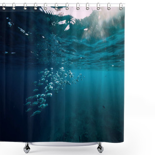 Personality  Underwater Ocean With Tuna School Fishes And Sun Rays Shower Curtains